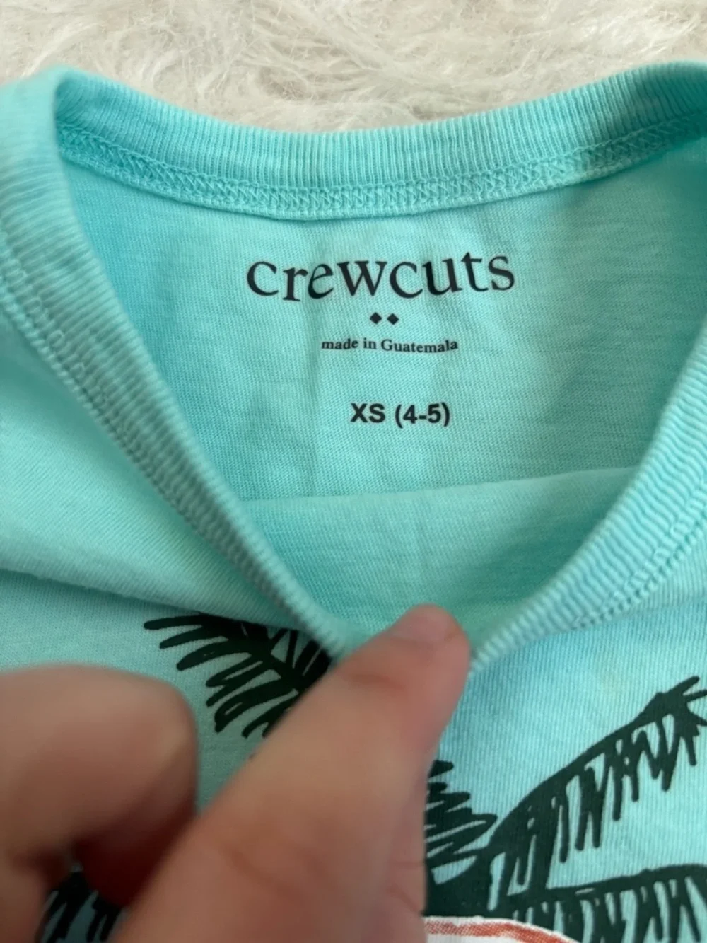 Crewcuts light aqua